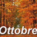 Bra: gli eventi di ottobre 2014