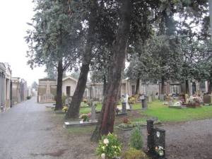 Cipressi-Cimitero-Bra